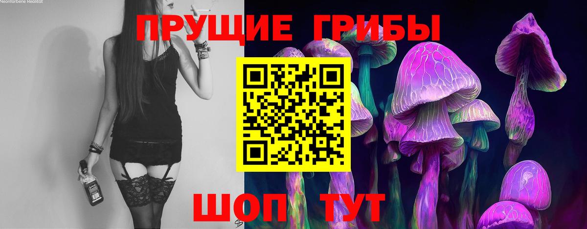 Коммунар  сколько стоит  Вход с VPN  Галлюциногенные грибы ЛСД 