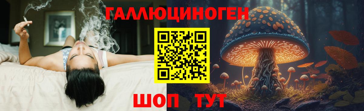 Псилоцибиновые грибы прущие грибы Коммунар